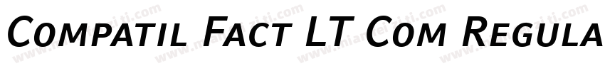 Compatil Fact LT Com Regular Small字体转换